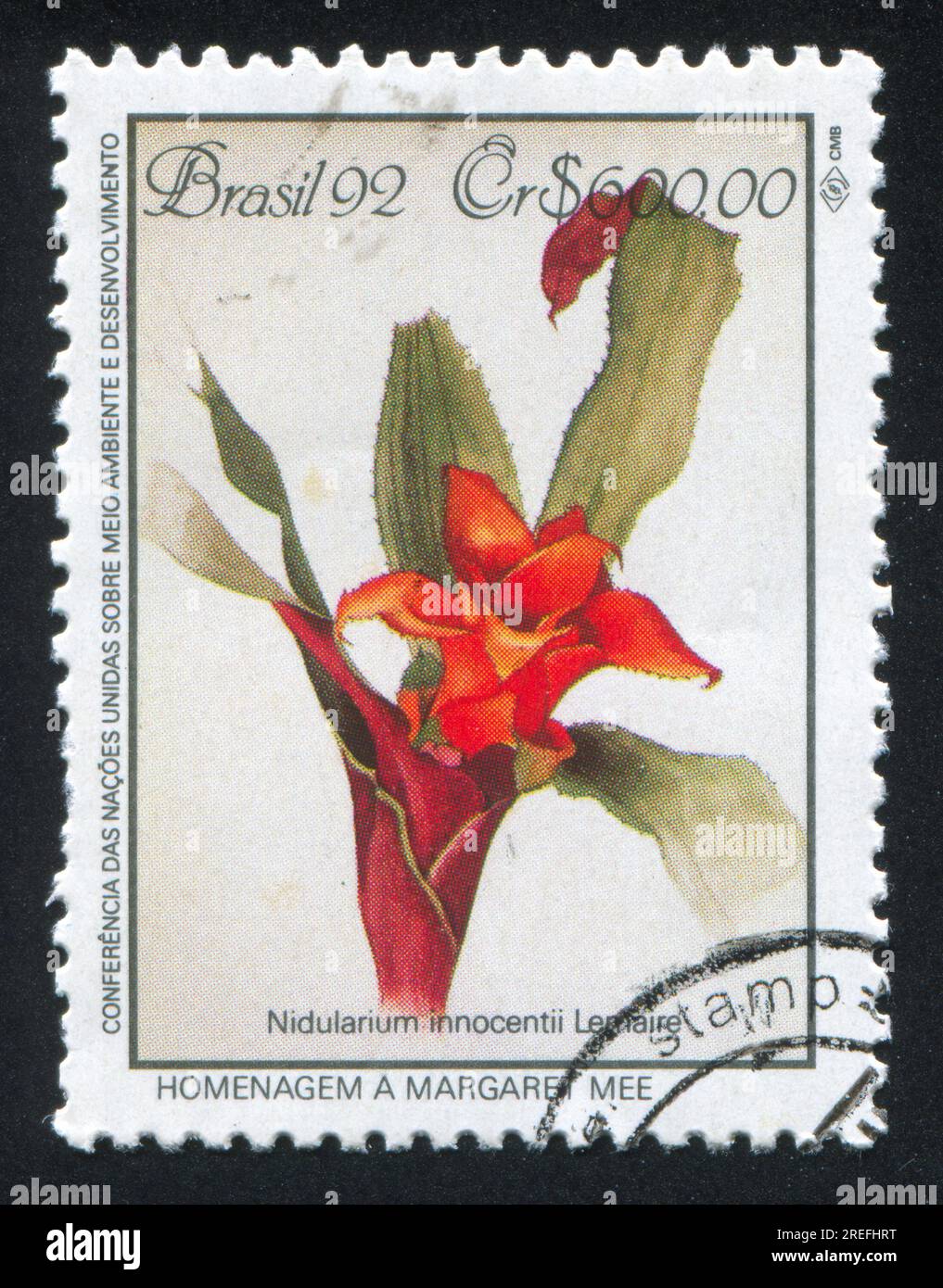 BRÉSIL - CIRCA 1992 : timbre imprimé par le Brésil, montre fleur, Nidularium innocentii, circa 1992 Banque D'Images