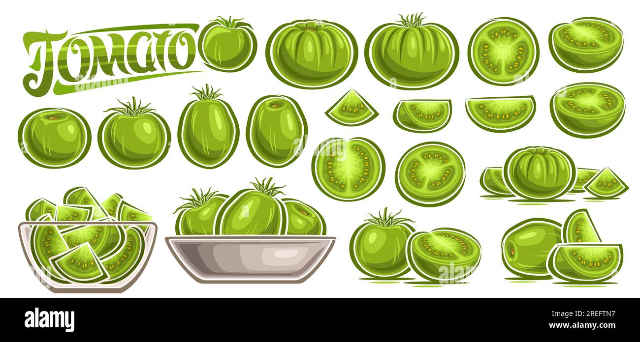 Vector Green Tomato Set, collection de compositions de natures mortes végétariennes découpées, tomates ovales juteuses crues dans un plat transparent en verre, s Illustration de Vecteur