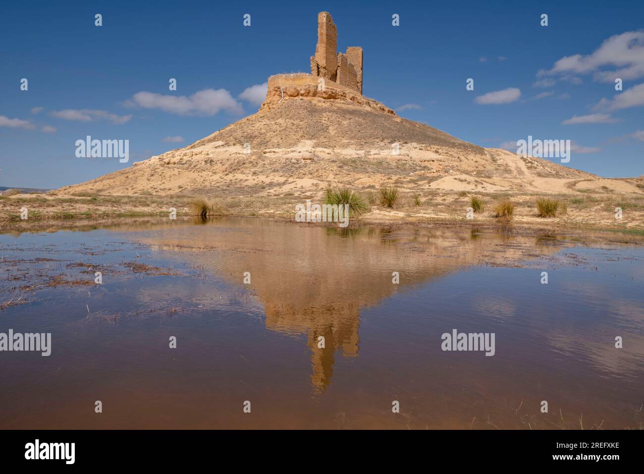 Castillo de Montuenga de Soria, Castillo de los Padilla, Montuenga de Soria, Comarca de Arcos de Jalón, Soria, communauté autonome de Castilla y León Banque D'Images