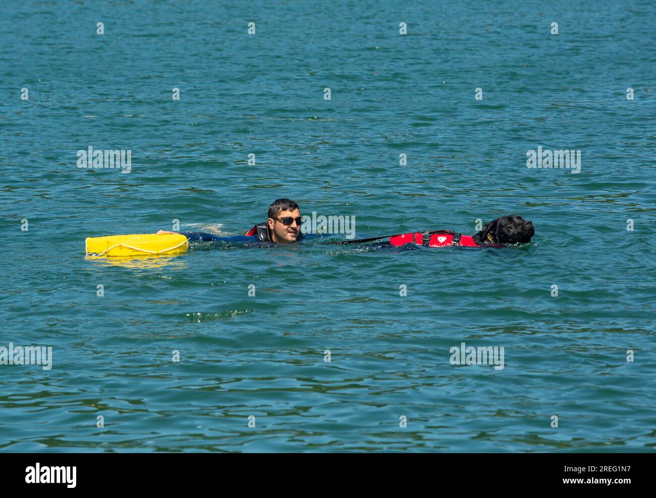 Sambotin, Gorj, Roumanie – 18 juillet 2023 : Aquares 2023 – exercice de sauvetage en eau avec un chien de sauvetage au lac Sambotin. Le chien est préparé pour la montagne et Banque D'Images