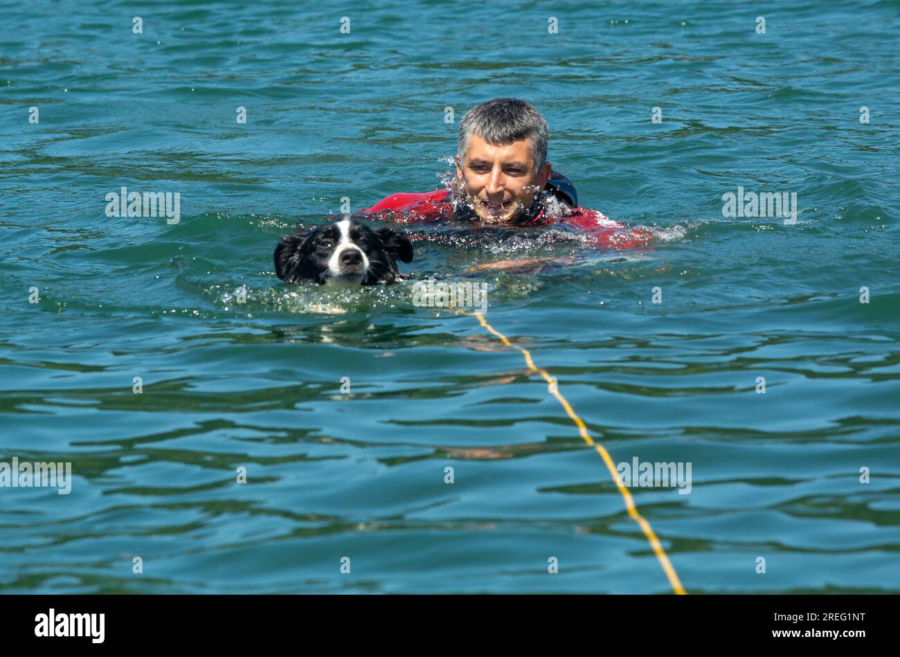 Sambotin, Gorj, Roumanie – 18 juillet 2023 : Aquares 2023 – exercice de sauvetage en eau avec un chien de sauvetage au lac Sambotin. Le chien est préparé pour la montagne et Banque D'Images