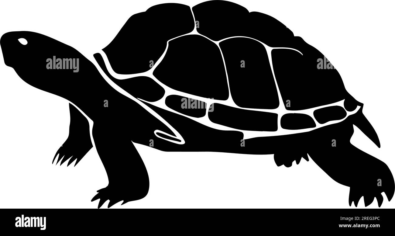 Silhouette de tortue isolée. illustration vectorielle Illustration de Vecteur