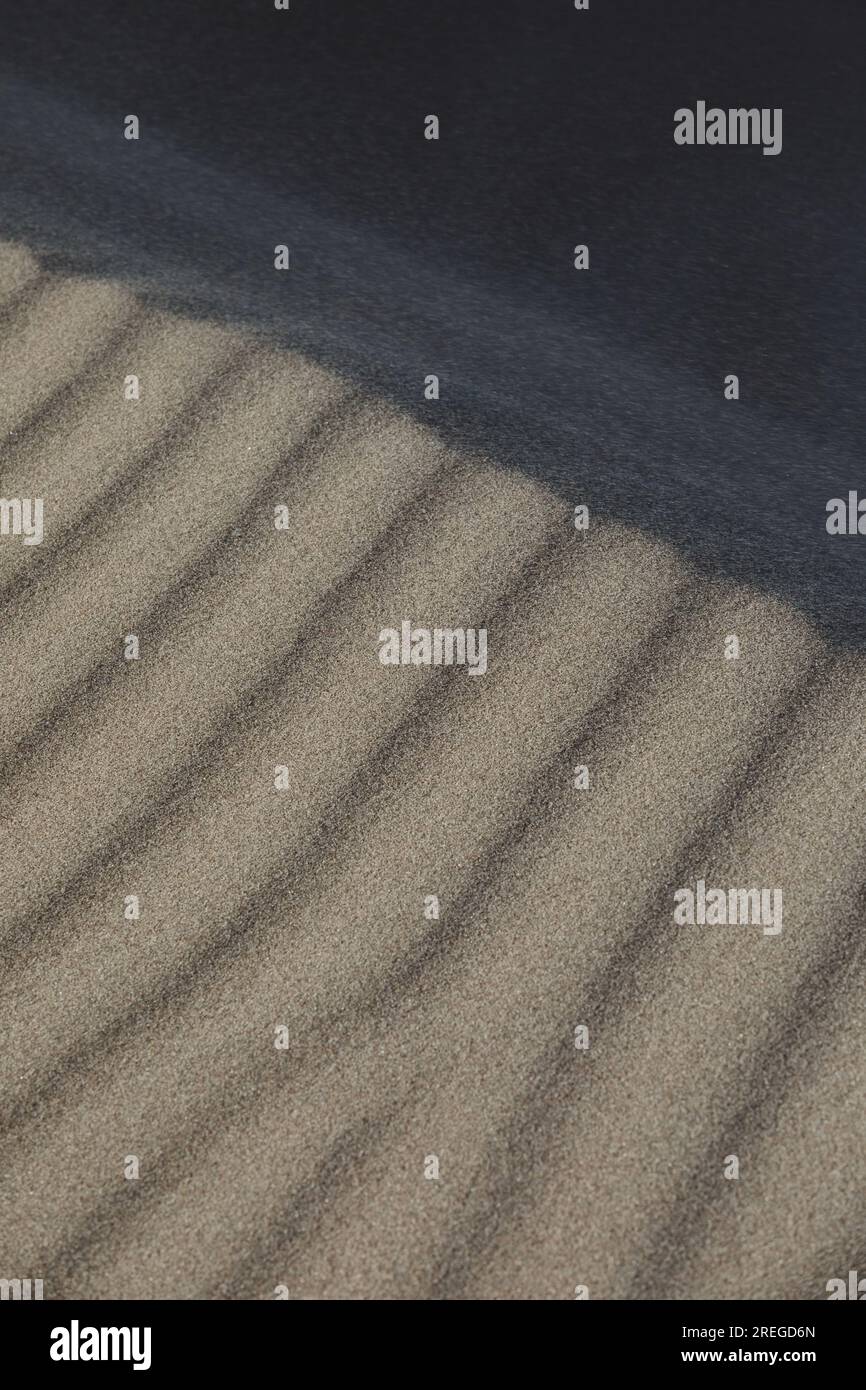 gros plan des ombres et des lignes dans le sable de couleur taupe Banque D'Images