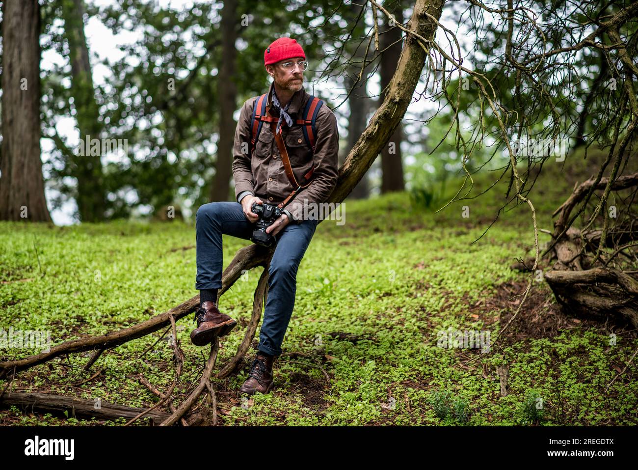 Homme assis sur l'arbre tenant la caméra dans la forêt Banque D'Images