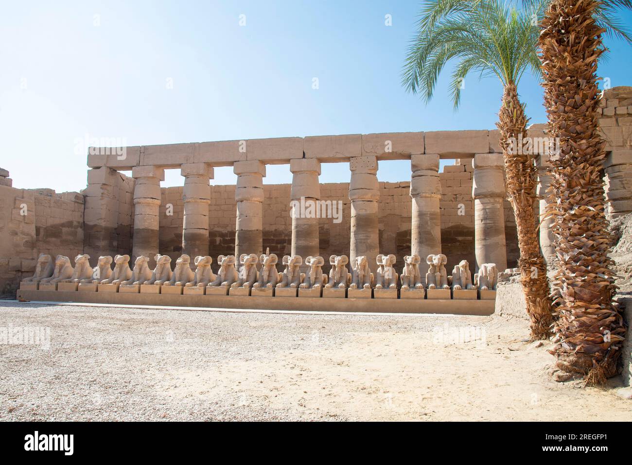 Sphinx à tête de RAM au temple de Karnak, Thèbes Banque D'Images