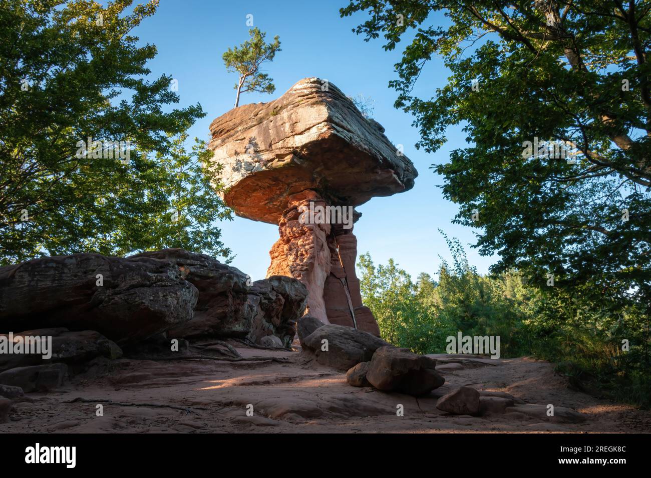 Table du diable (germe. Teufelstisch), un champignon rocher à Hinterweidenthal, Forêt du Palatinat, Allemagne en été contre le ciel bleu Banque D'Images