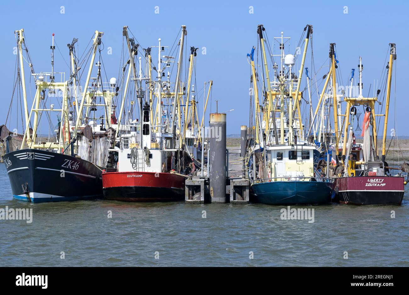 PAYS-BAS, port de Lauwersoog, bateaux de pêche au crabe dans le port / NIEDERLANDE, Lauwersoog, Krabbenfischer, Fischerboote im Hafen Banque D'Images