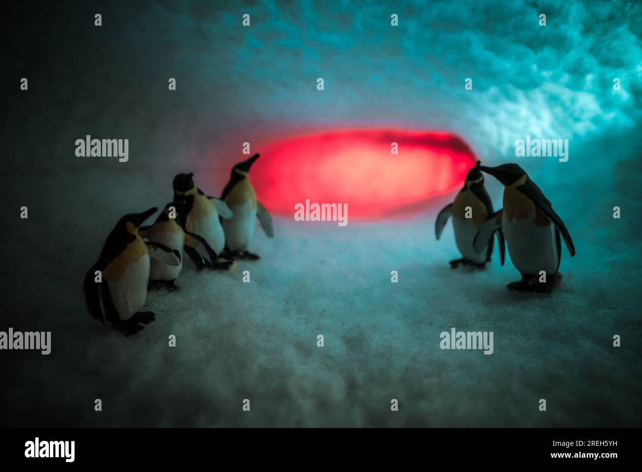 Concept d'un endroit froid et éloigné pingouins jouets miniatures câlinés dans une grotte de neige en Antarctique Banque D'Images