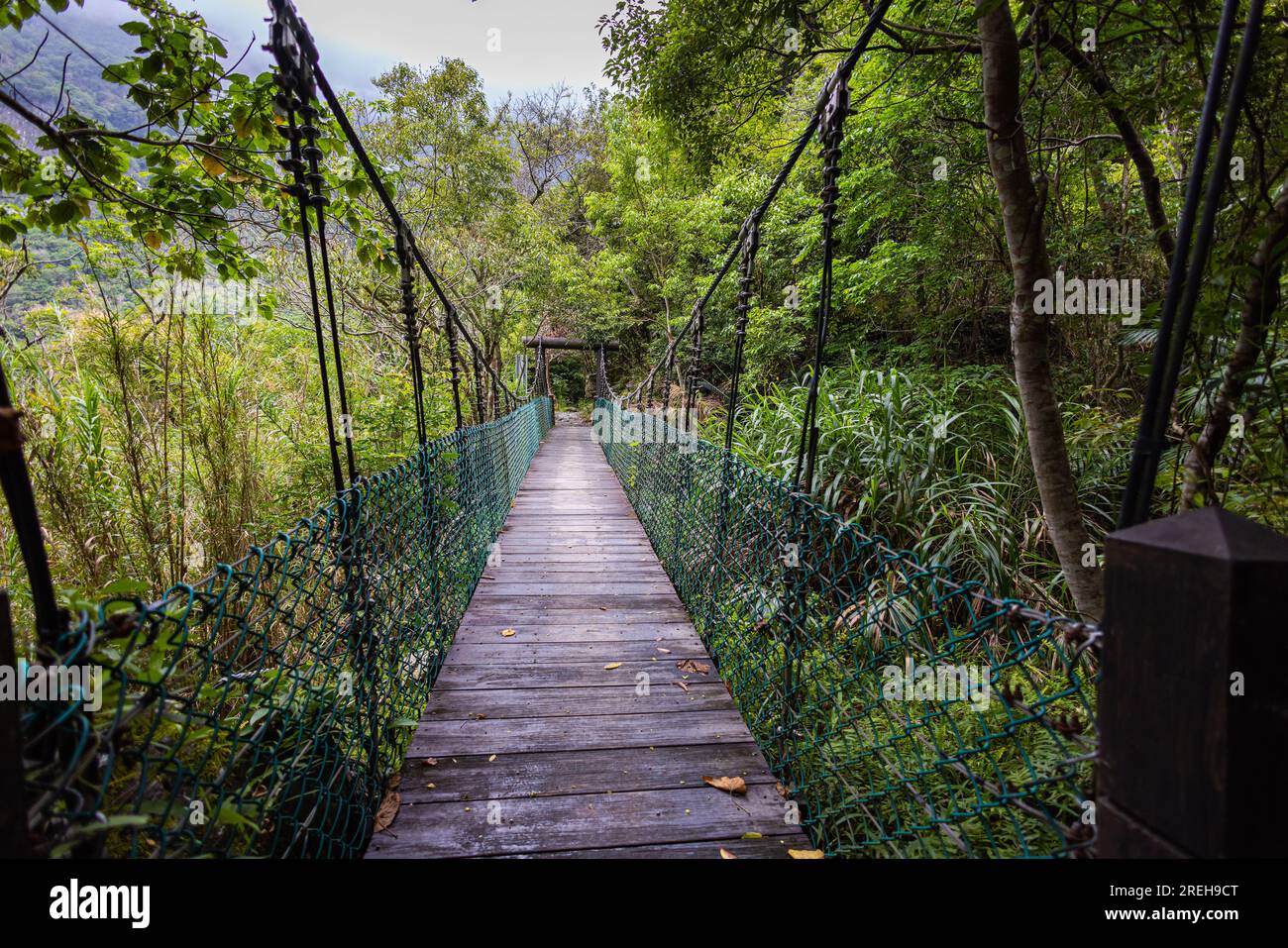 Un pont suspendu à couper le souffle enjambe gracieusement une gorge profonde au milieu des forêts luxuriantes du parc national de Taroko, offrant un voyage envoûtant. La panora Banque D'Images