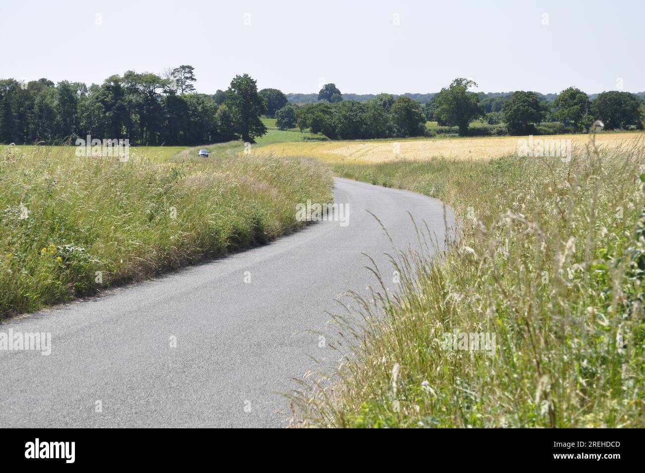 Route de campagne au sud-est de Felbrigg, nord Norfolk, Angleterre, Royaume-Uni Banque D'Images