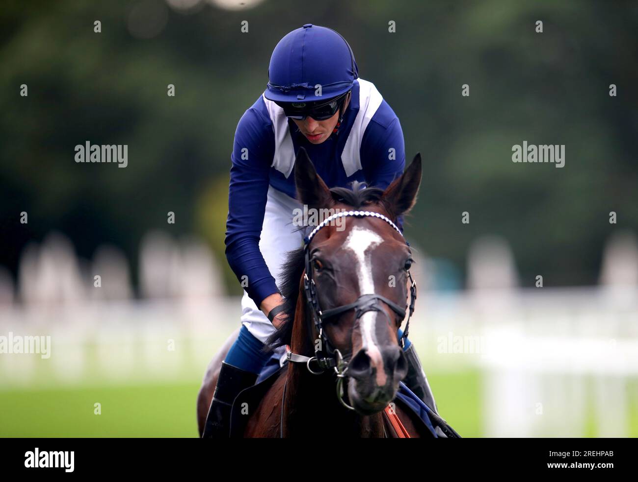 Alhambra Palace monté par le jockey David Probert après avoir remporté ...