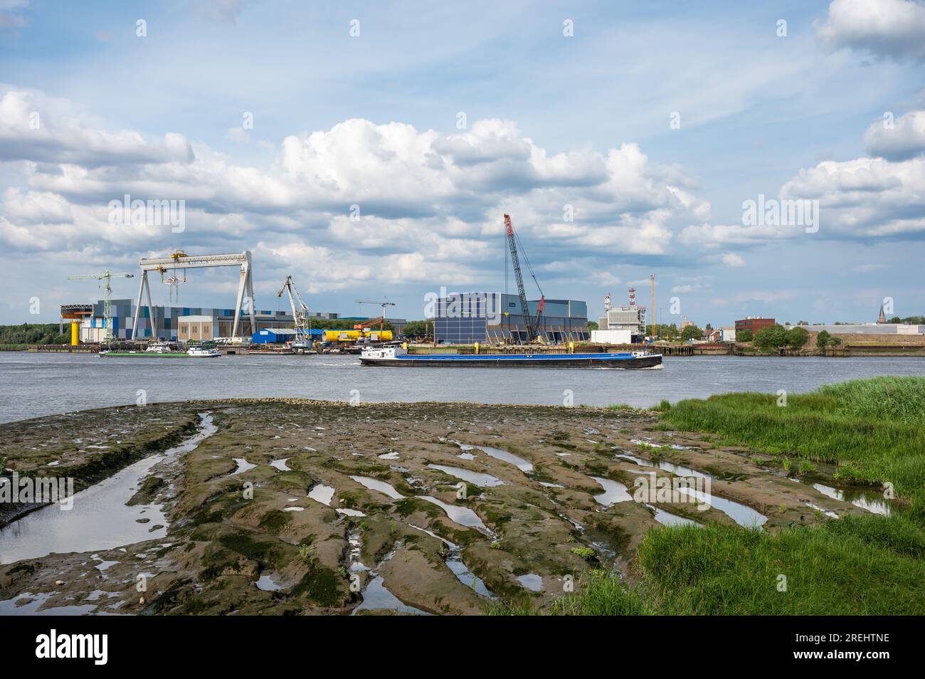 Anvers, Belgique - 30 juin 2023 - vue sur les berges vertes de l'Escaut et l'installation industrielle de l'entreprise de construction Equans Banque D'Images