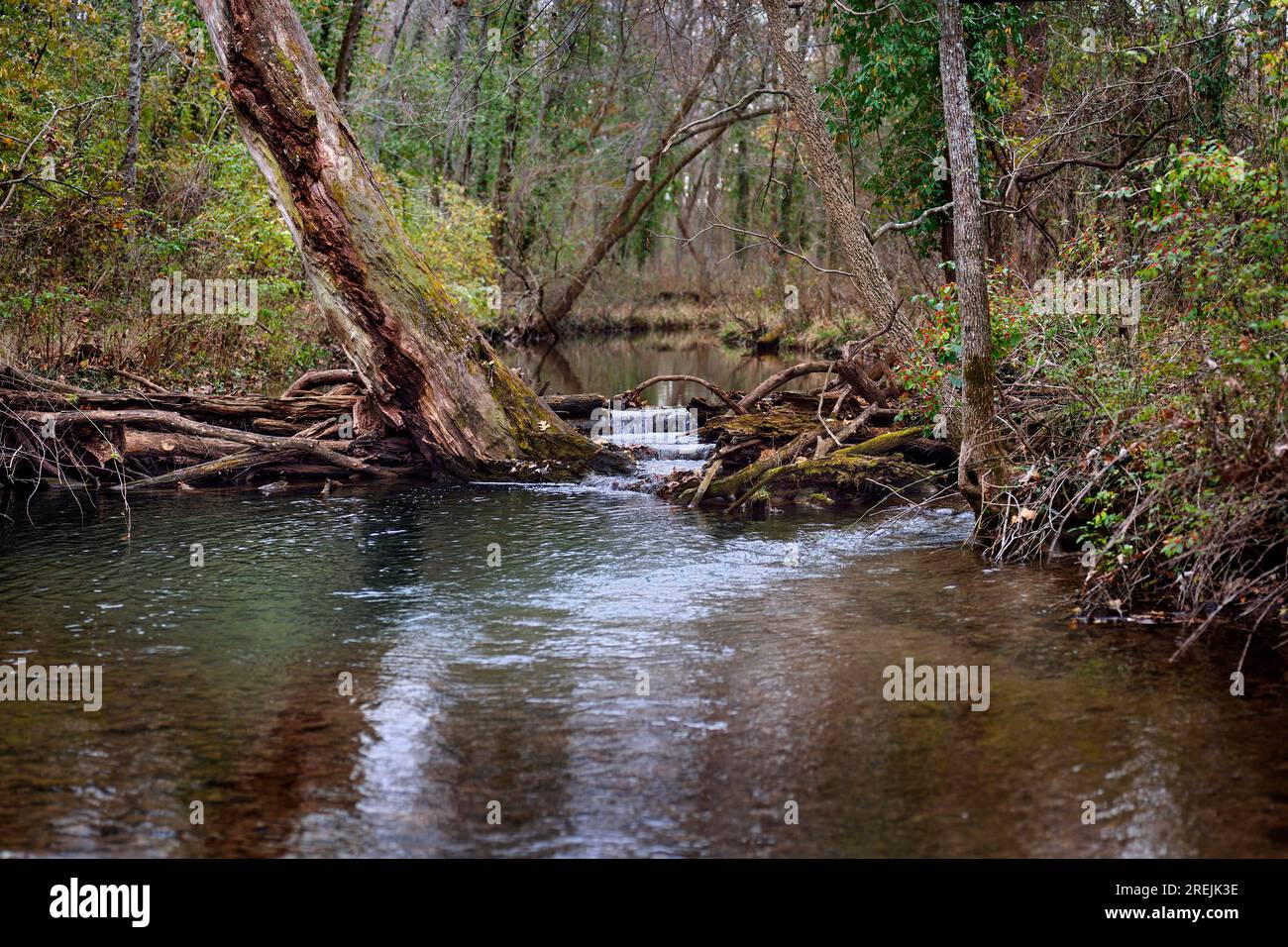 Une vue panoramique d'un ruisseau qui coule dans une région sauvage du Midwest. Banque D'Images Une vue panoramique d'un ruisseau qui coule dans une région sauvage du Midwest. Banque D'Images