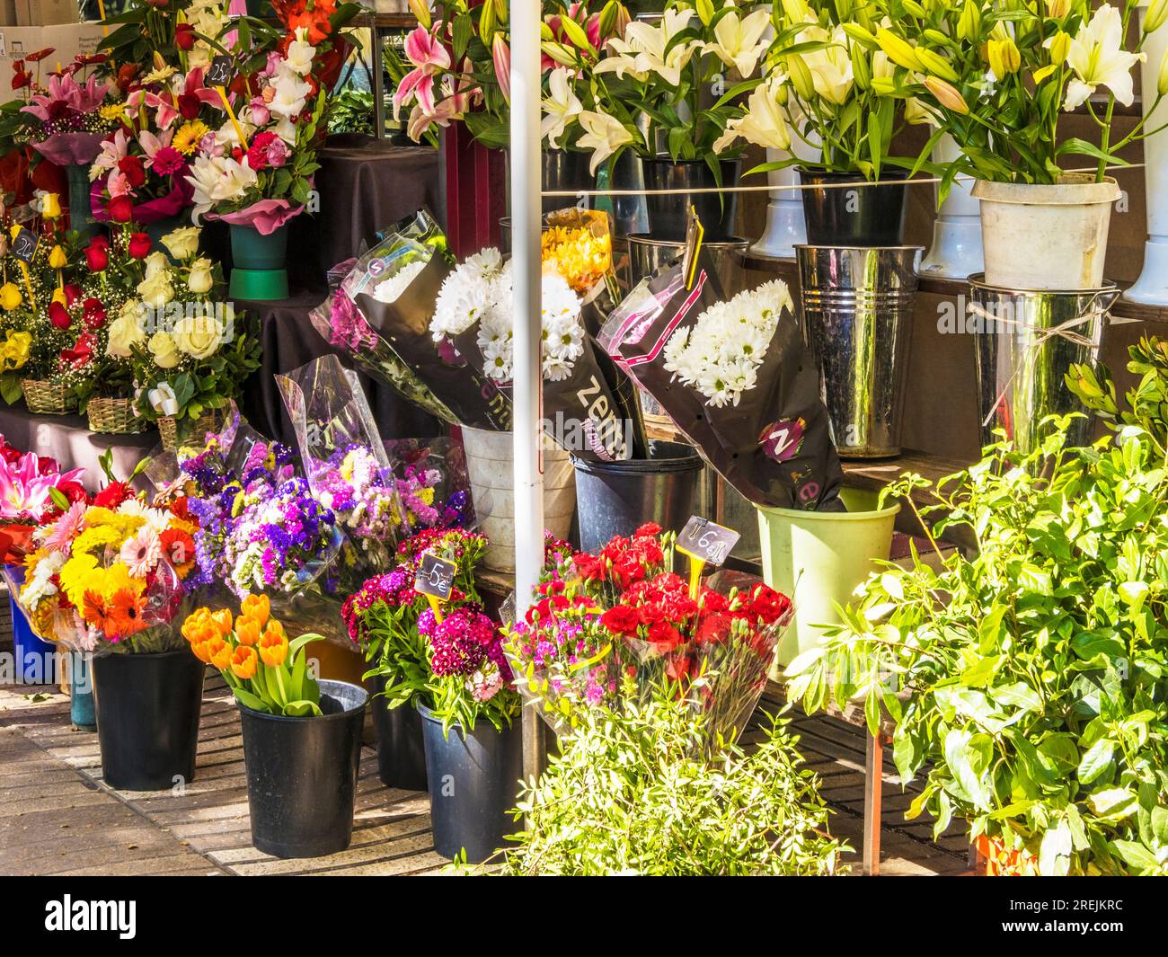 A Flower Stall à Las Ramblas, Barcelone, Catalogne, Espagne. Banque D'Images