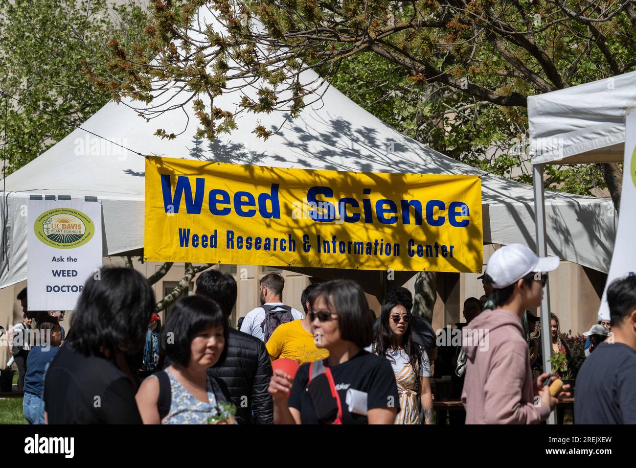 Davis, CA - avril 15 2023. Journée pique-nique à l'Université de Californie à Davis avec Weed Science Banque D'Images