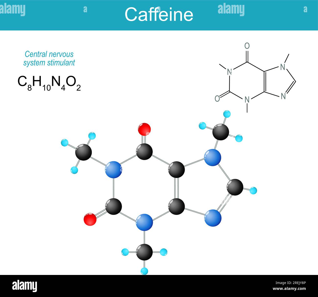 molécule de caféine. Formule structurale chimique moléculaire et modèle de stimulant du SNC du système nerveux central de la classe des méthylxanthines. Vecteur Illustration de Vecteur