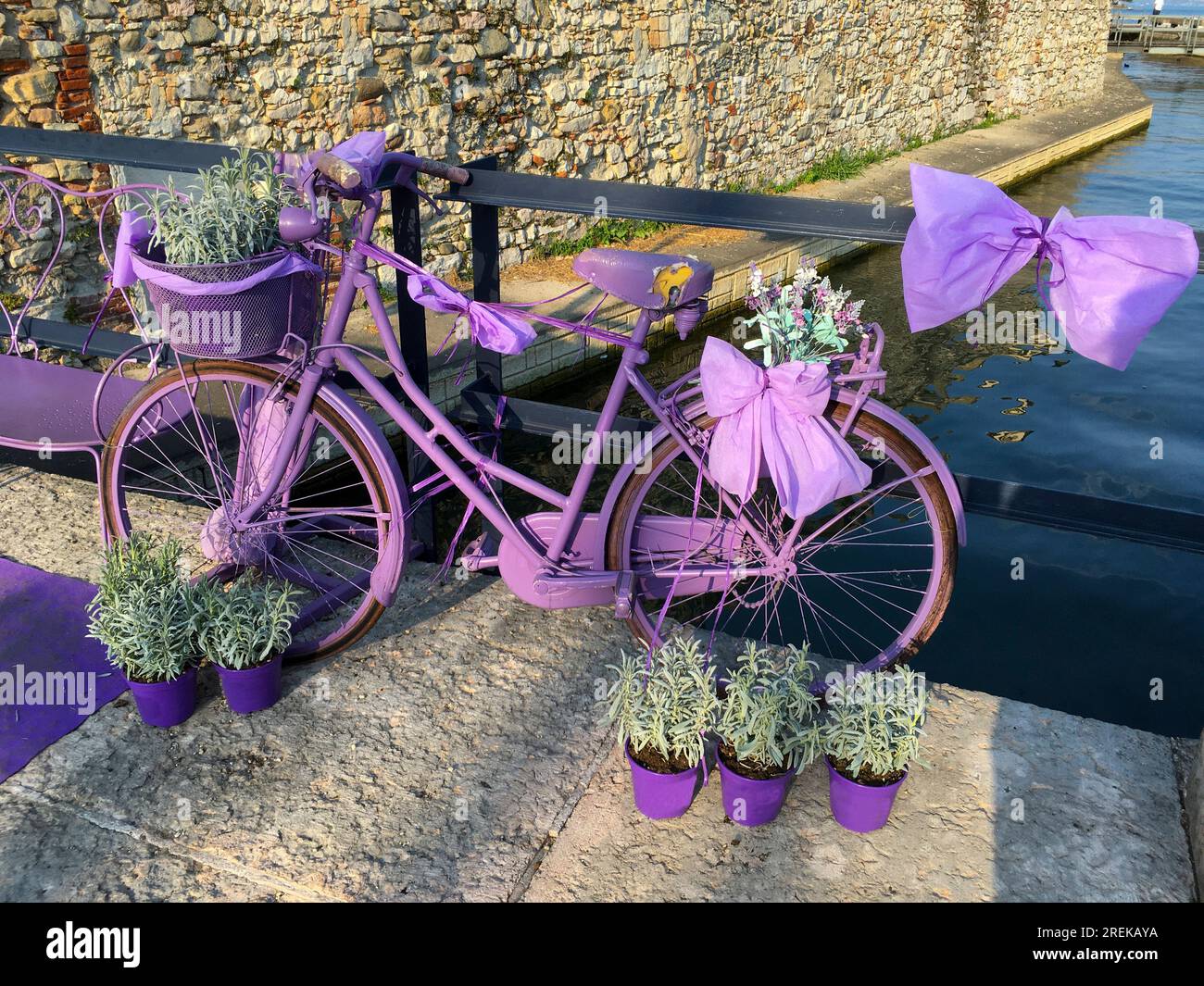 Ein altes Fahrrad in pink Violett mit Lavendel dekoriert steht an einem Brückengeländer in Salo Banque D'Images