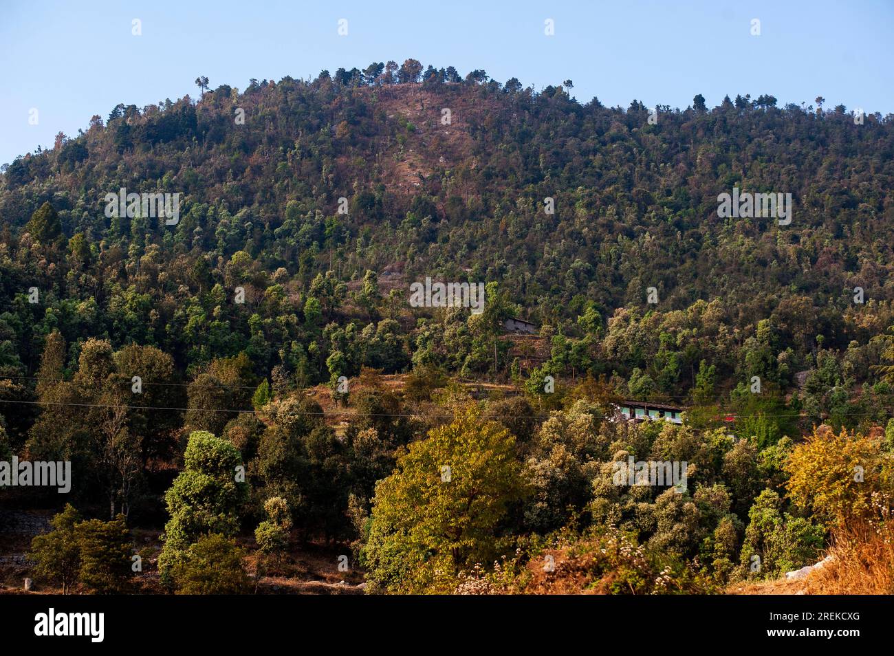 Maison près de la forêt à Kala Agar Village sur Kumaon Hills, où Jim Corbett vient après le maneater Chowgarh, Uttarakhand, Inde Banque D'Images