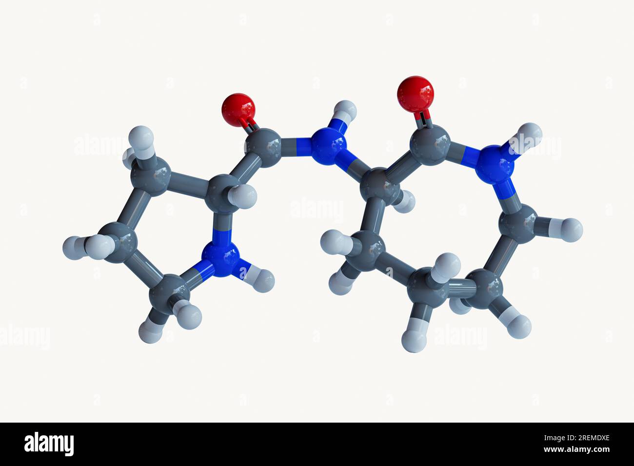 Illustration d'une molécule d'ozopromide (N-(2-ozazepan-3-yl) pyrrolidine-2-carboxamide). Ce composé se trouve dans le sac d'encre de la pieuvre commune (Octopus vulgaris). Des études in vitro ont montré qu'il est capable de tuer sélectivement les cellules cancéreuses. Banque D'Images