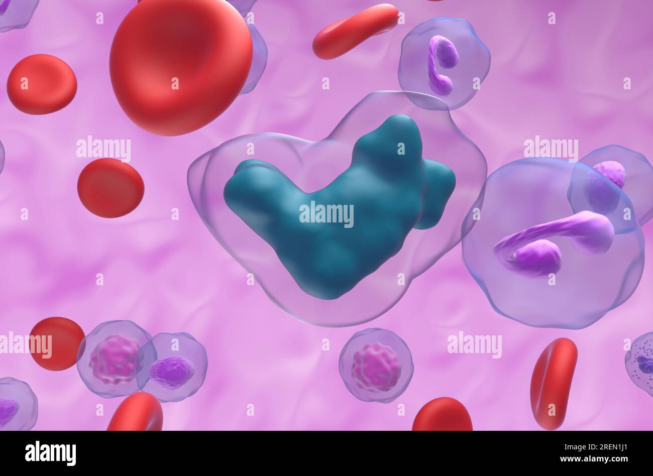 Acide méthotrexate dans le flux sanguin - vue rapprochée 3D illustration Banque D'Images