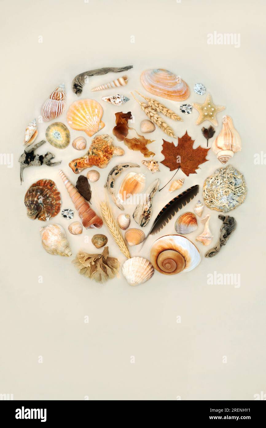 Concept de conception abstraite circulaire d'objets de nature naturelle avec collection de bois flotté, coquillages, plumes, grain, flore sur fond de papier de chanvre. Banque D'Images
