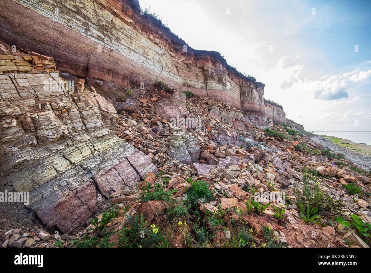 Géologie. Roches sédimentaires du lac Ilmen clint (région de Velikii Novgorod) du stade frasnien du Dévonien supérieur. Calcaire et faciès shelly ressemblant à un drapeau, Pred Banque D'Images