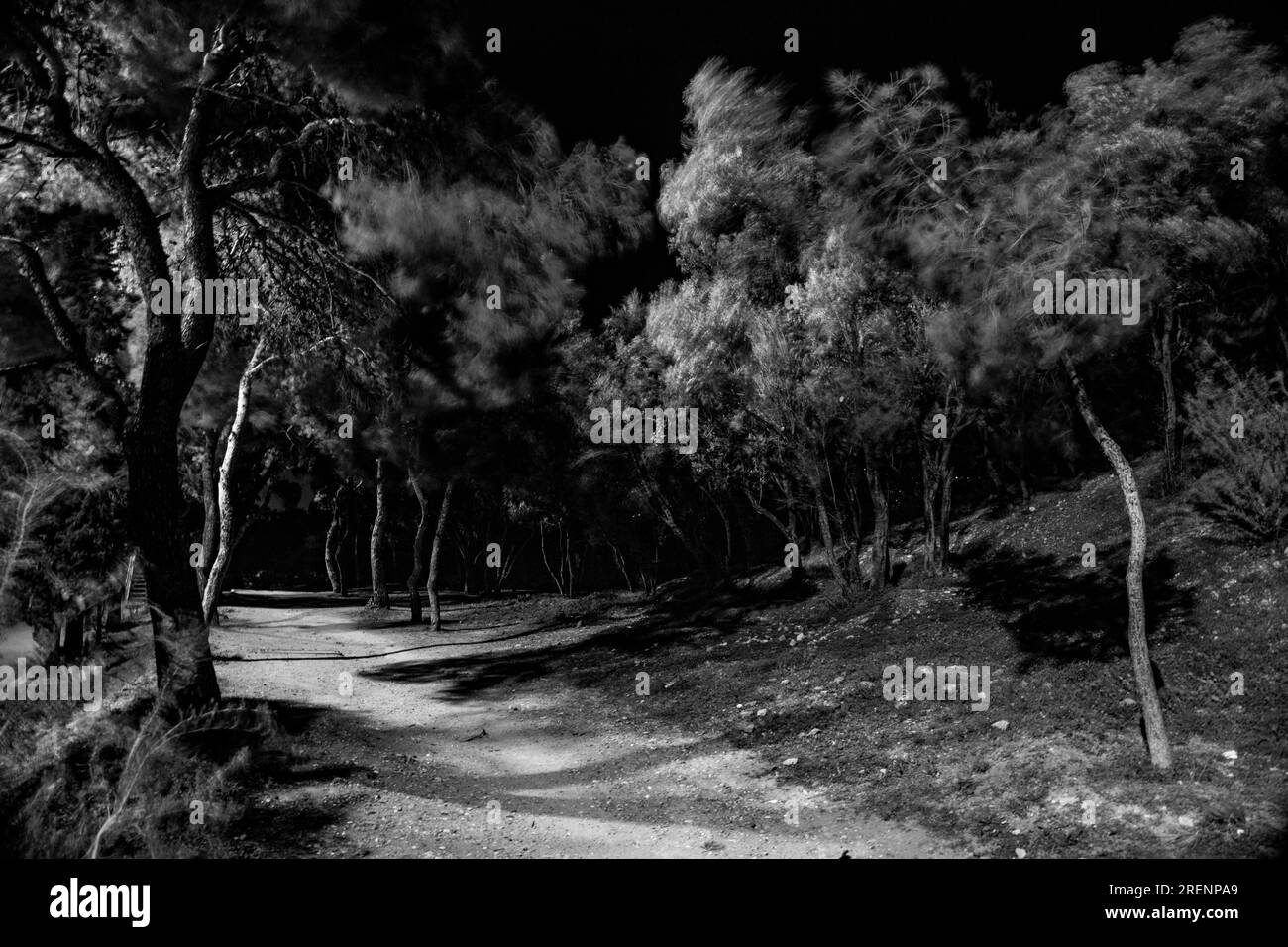 Photographie abstraite. Délibérément secoué, flou, exposé de manière incohérente. Photographie de rue créative traitée numériquement. Banque D'Images