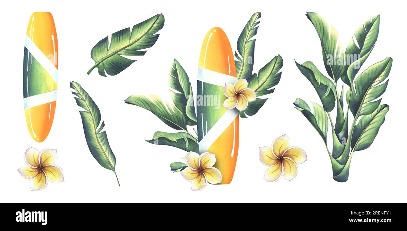 Planche de surf en jaune et vert avec des rayures avec des feuilles tropicales et des fleurs de frangipanier. Illustration à l'aquarelle dessinée à la main. Ensemble d'éléments isolés Banque D'Images