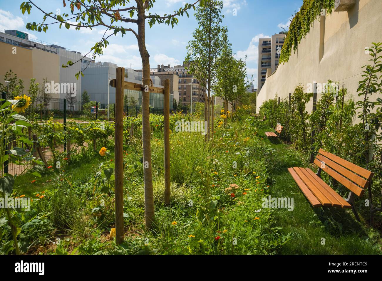 Paris, Parc Saint-Ambroise, jardin Truillot // Paris, Parc Saint-Ambroise, jardin Truillot Banque D'Images