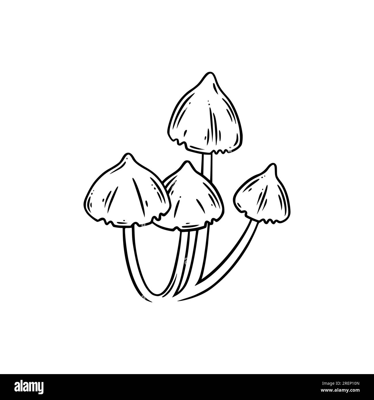 Ensemble de champignons forestiers. Champignons comestibles pour les dessins alimentaires. Illustration vectorielle isolée sur fond blanc Illustration de Vecteur
