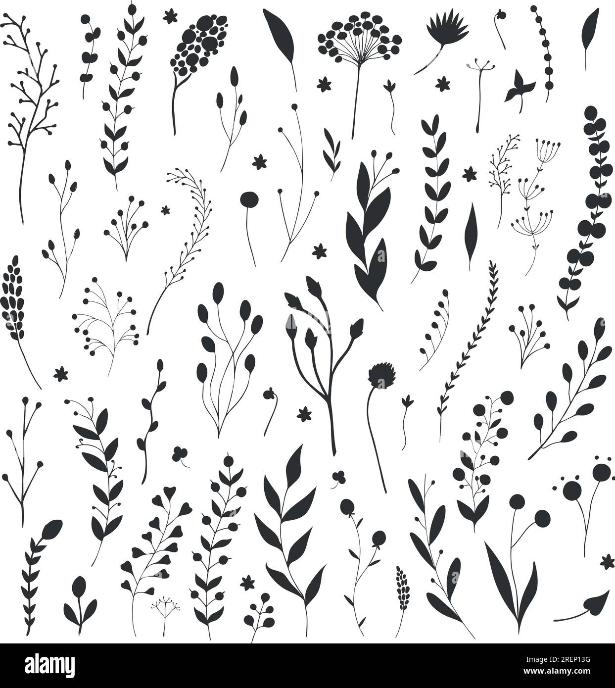 Collection florale et végétale avec diverses silhouettes de fleurs dessinées à la main. Éléments botaniques isolés sur fond blanc. Parterre de fleurs. Ensemble botanique Illustration de Vecteur