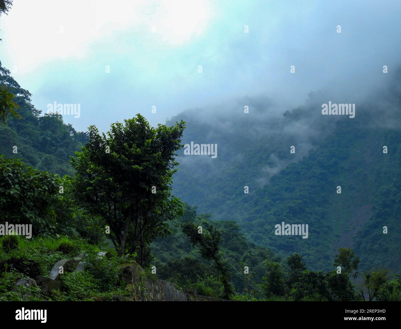 Montagnes brumeuses et vertes dans l'Himalaya pendant la saison de la mousson. Uttarakhand Inde. Banque D'Images