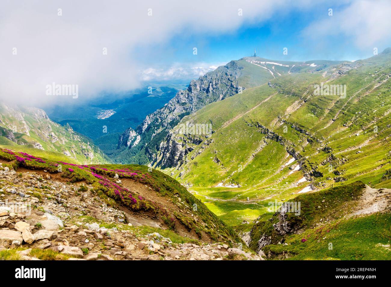 Sentier d'alpinisme de Busteni au pic OMU en passant par la vallée de Râul Valea Priponului (pic Costila à l'arrière), montagnes Bucegi, Roumanie Banque D'Images