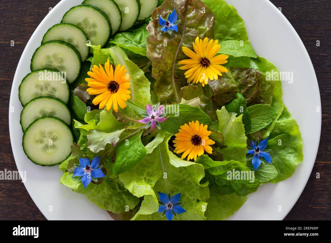 Salade aux fleurs sauvages comestibles Banque D'Images