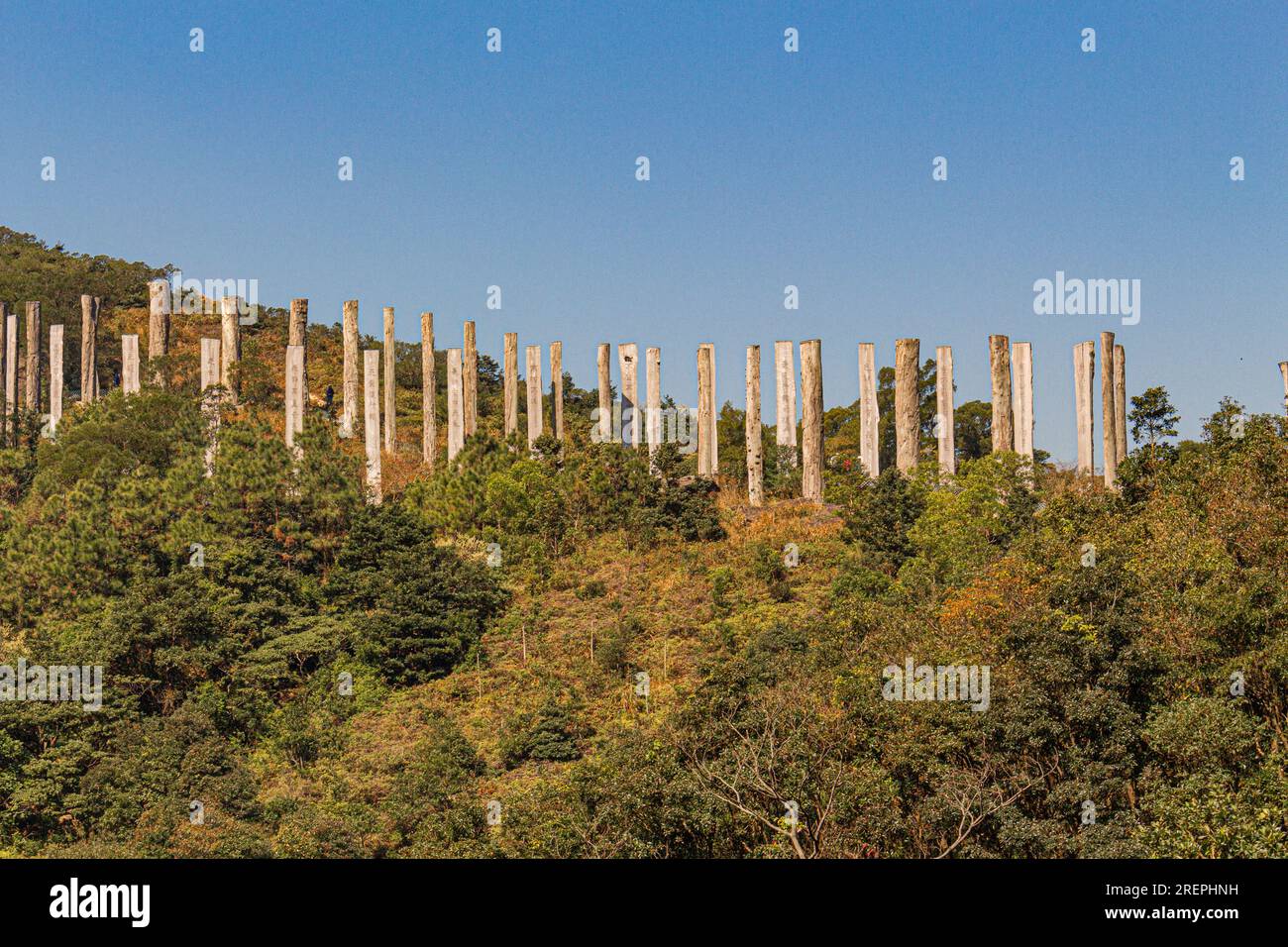 Le chemin de la sagesse, avec ses 38 obélisques en bois, de 10 mètres de haut, se trouve sur l'île de Lantau, Hong Kong, Chine et est en un chiffre de 8 pour représenter l'infini Banque D'Images