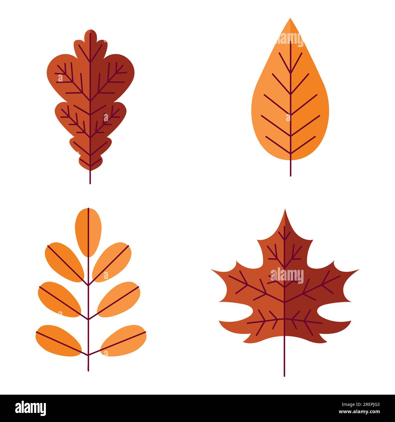 feuilles d'automne. Feuillage d'automne rouge et orange. Feuilles colorées de châtaigniers, d'érables et de chênes. Décor botanique décoratif éléments plats isolés. Illustration décorative des vacances de septembre. Jeu de vecteurs Illustration de Vecteur