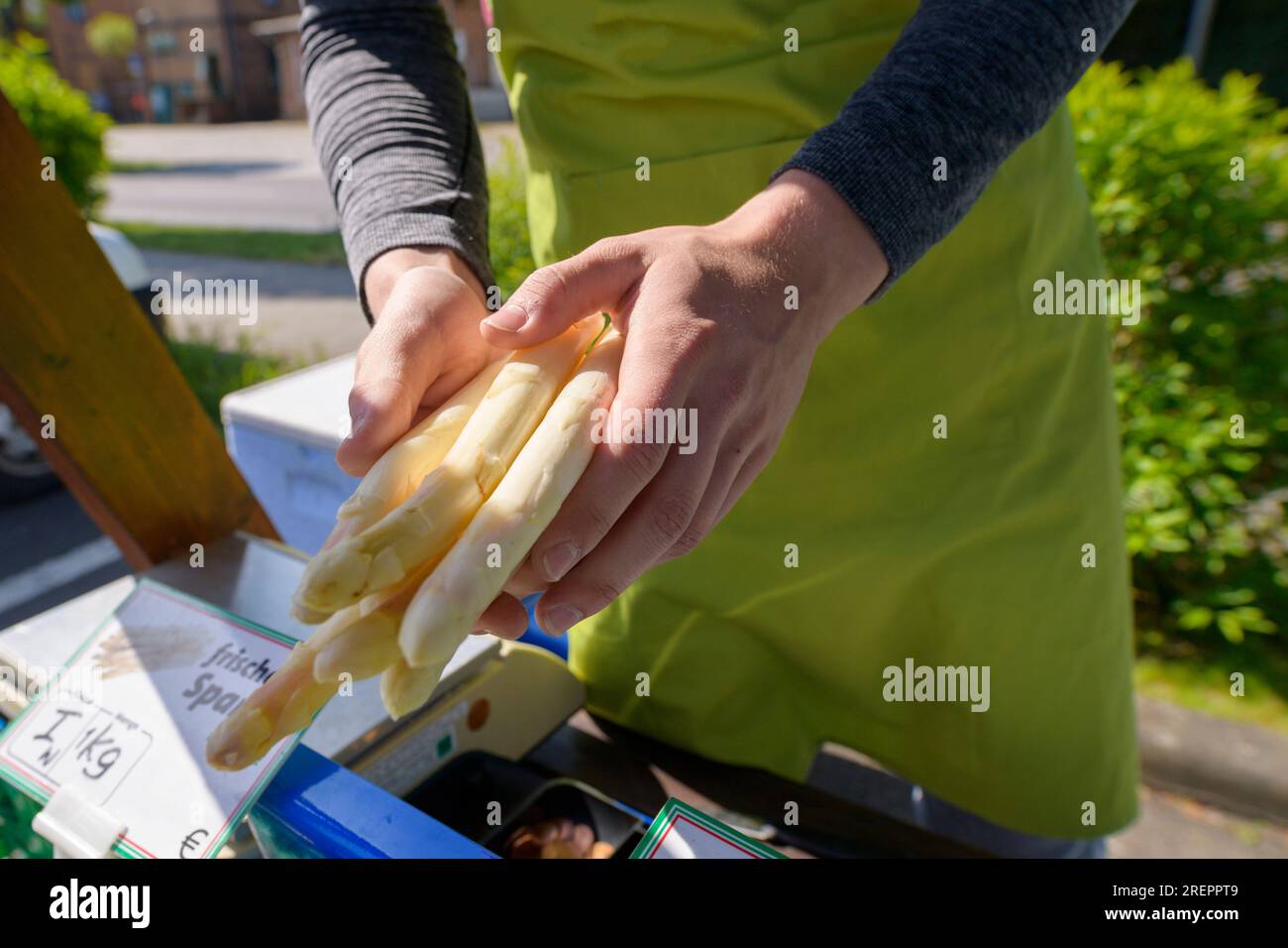 Vente d'asperges , le vendeur prépare la commande Banque D'Images