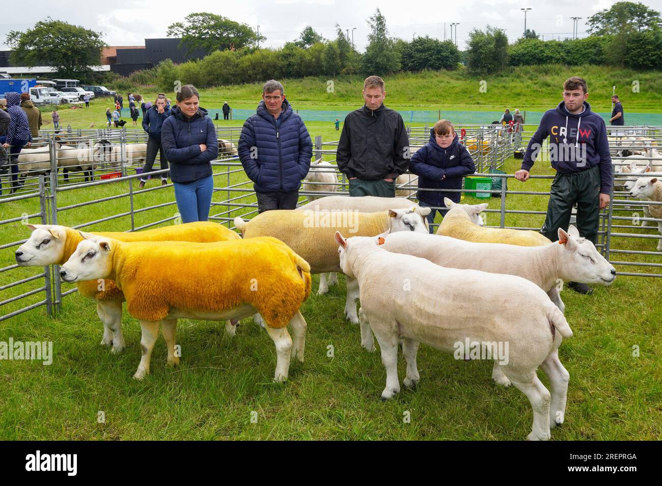 East Kilbride, Royaume-Uni. 29 juillet 2023. Plusieurs milliers de personnes se sont rendues pour le Farm Show annuel, East Kilbride, près de Glasgow, Écosse, Royaume-Uni. Le spectacle comprenait des évaluations du bétail, des expositions de machines agricoles anciennes, des démonstrations de tonte de moutons et des courses de chevaux Clydesdale. Crédit : Findlay/Alamy Live News Banque D'Images