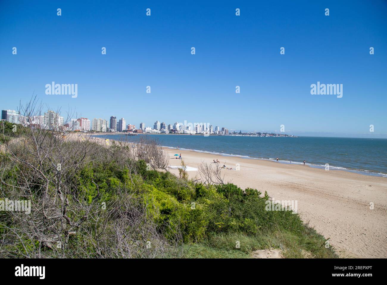 Vue imprenable sur la paisible Playa Mansa, Punta del Este, Uruguay Banque D'Images