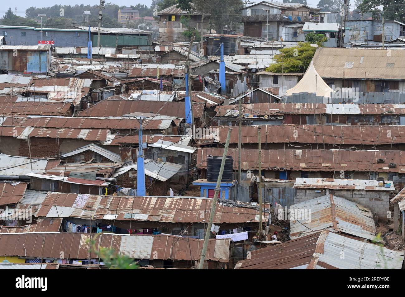 KENYA, Nairobi, Kibera slum / KENIA, Nairobi, slum Kibera Banque D'Images