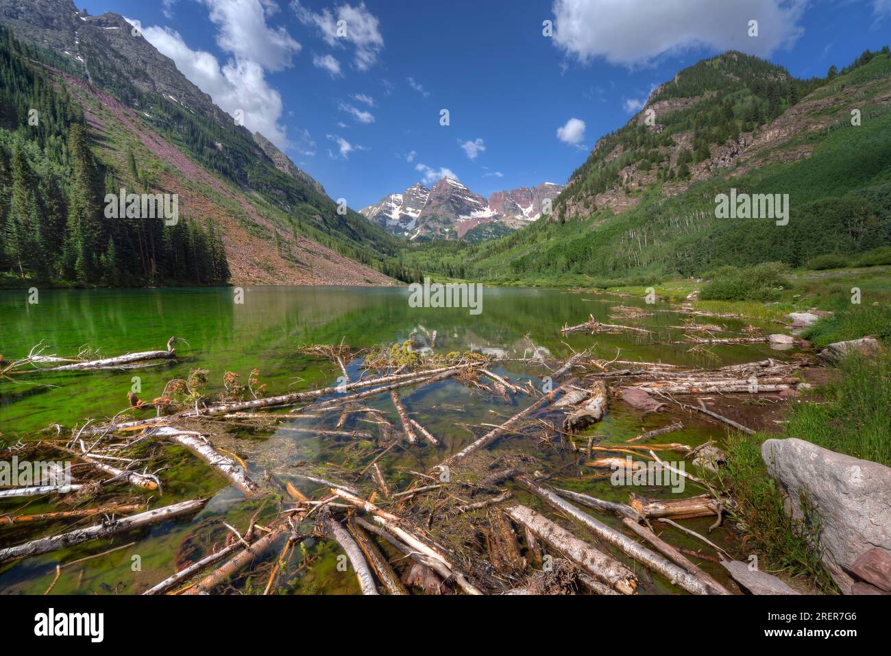 Les arbres détruits flottent dans le lac de montagne à partir d'une avalanche voisine près d'Aspen, Colorado. Banque D'Images