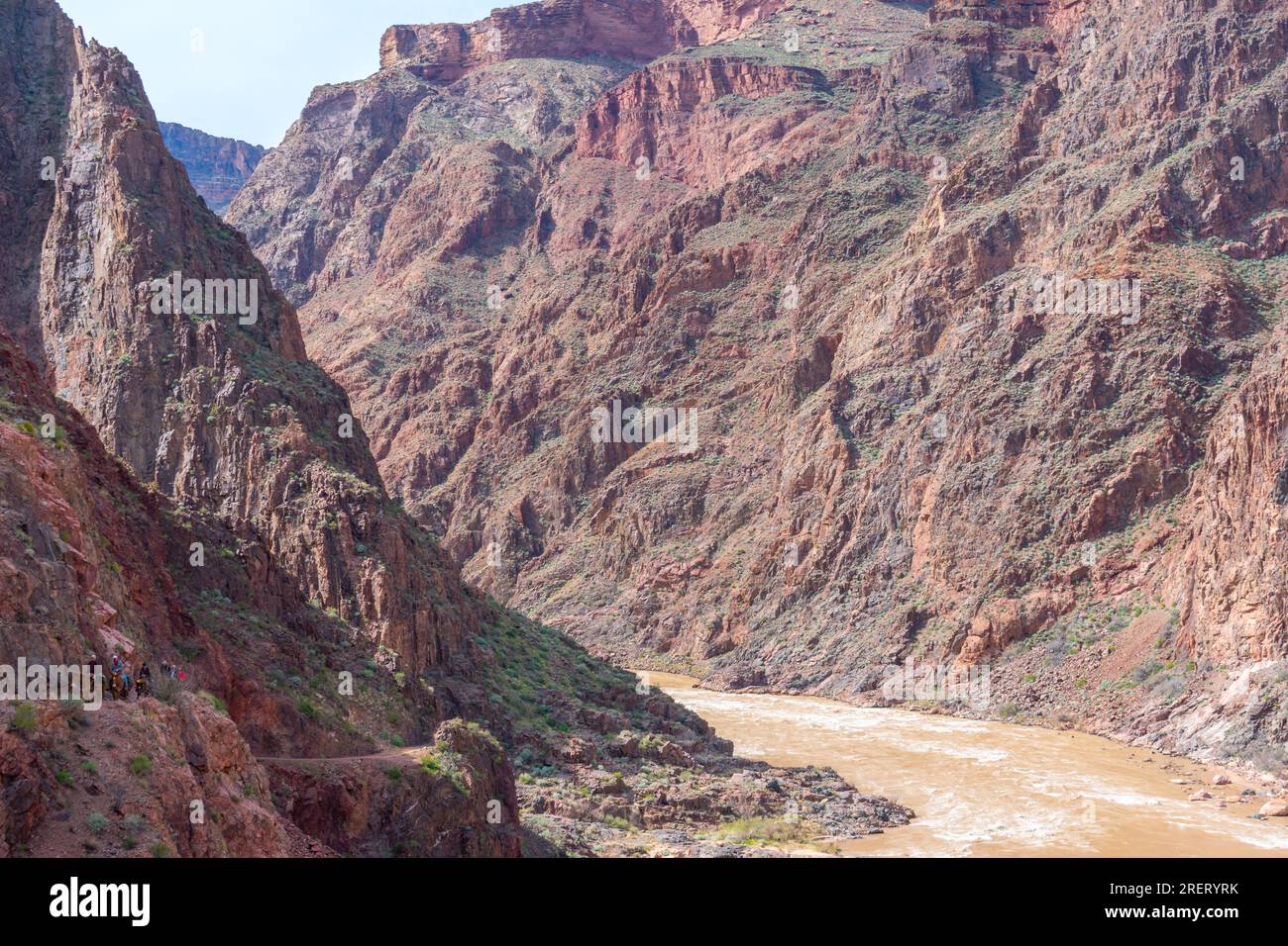 Les chevrons naviguent dans les eaux turbulentes du fleuve Colorado dans le Grand Canyon. Banque D'Images