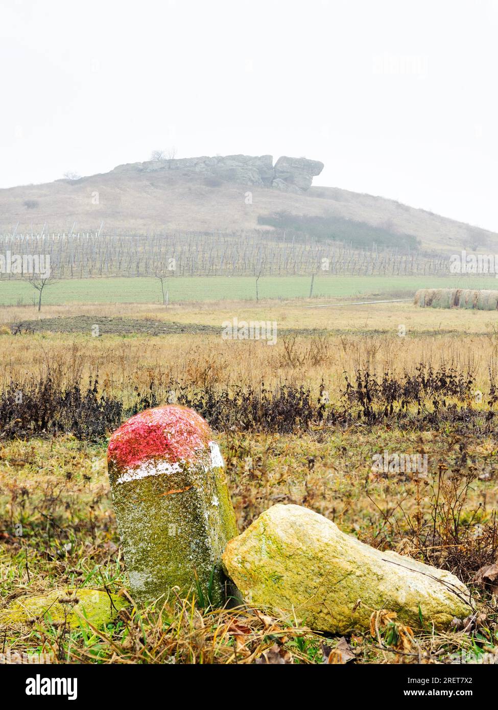 Pierre de repère avec rocher sur une colline dans Burgenland Banque D'Images