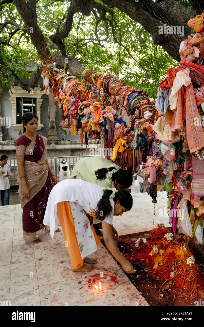 Adorant l'arbre au temple Sri Kalahasti, les pèlerins de l'Andhra Pradesh viennent au temple Kalahastishvara avec leurs filles célibataires dans l'espoir que a. Banque D'Images