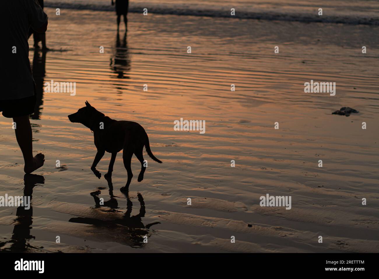 activité de plage au coucher du soleil à bali indonésie Banque D'Images