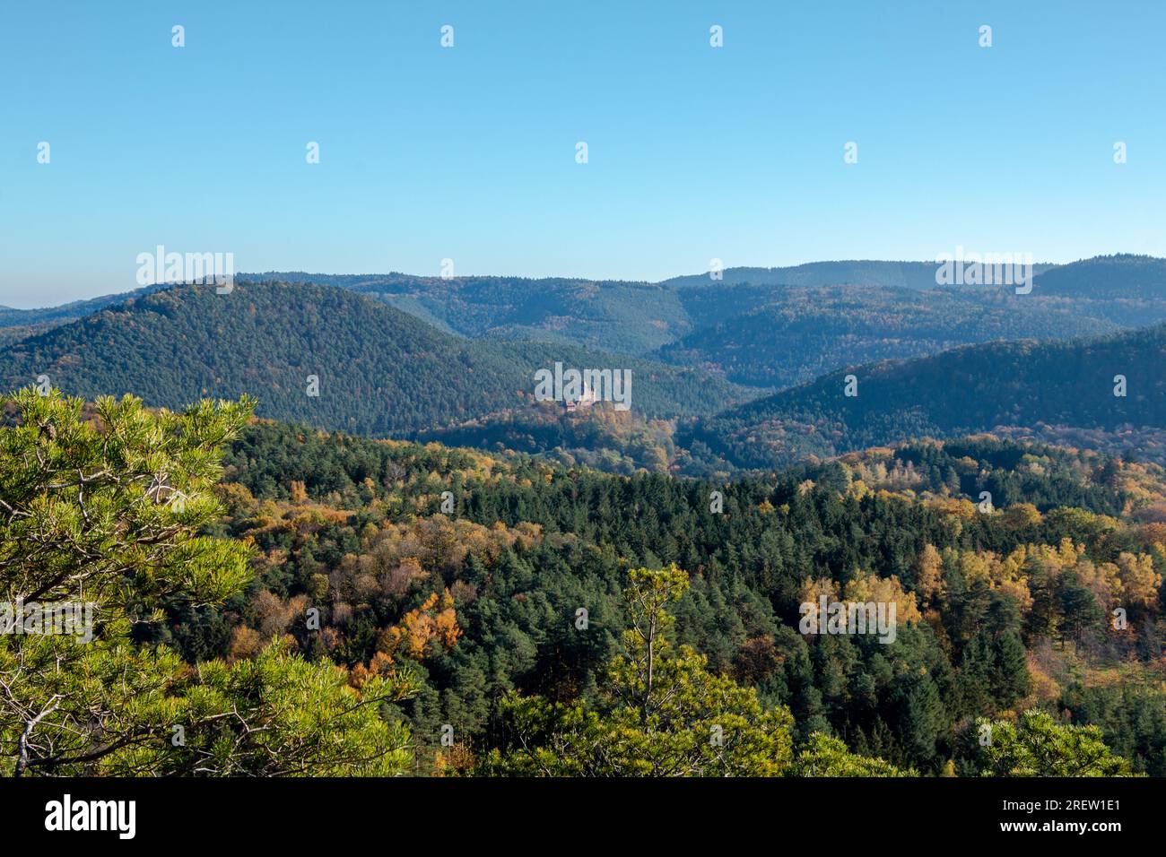 Château de Berwartstein dans la forêt du Palatinat en Allemagne, entouré de belles collines et d'une forêt apparemment sans fin Banque D'Images