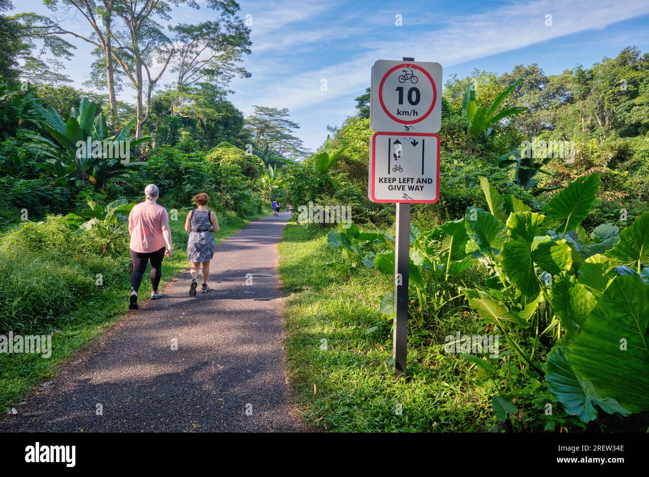 Un couple se promène le long du «corridor ferroviaire», une ceinture verte bordant l'ancienne voie ferrée vers la Malaisie ; près de l'ancienne gare de Bukit Timah Banque D'Images