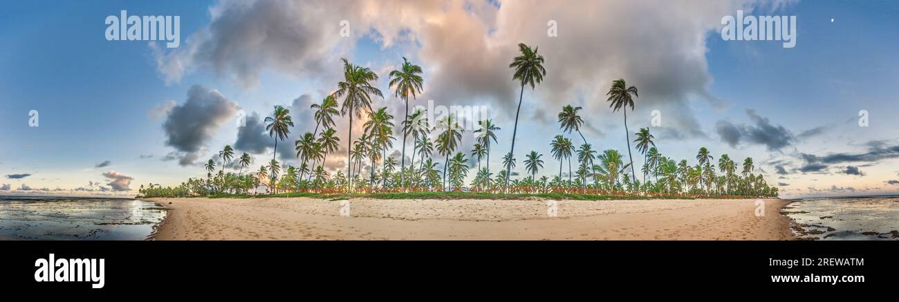 Image panoramique d'une plage déserte dans la région brésilienne de Bahia pendant la journée Banque D'Images