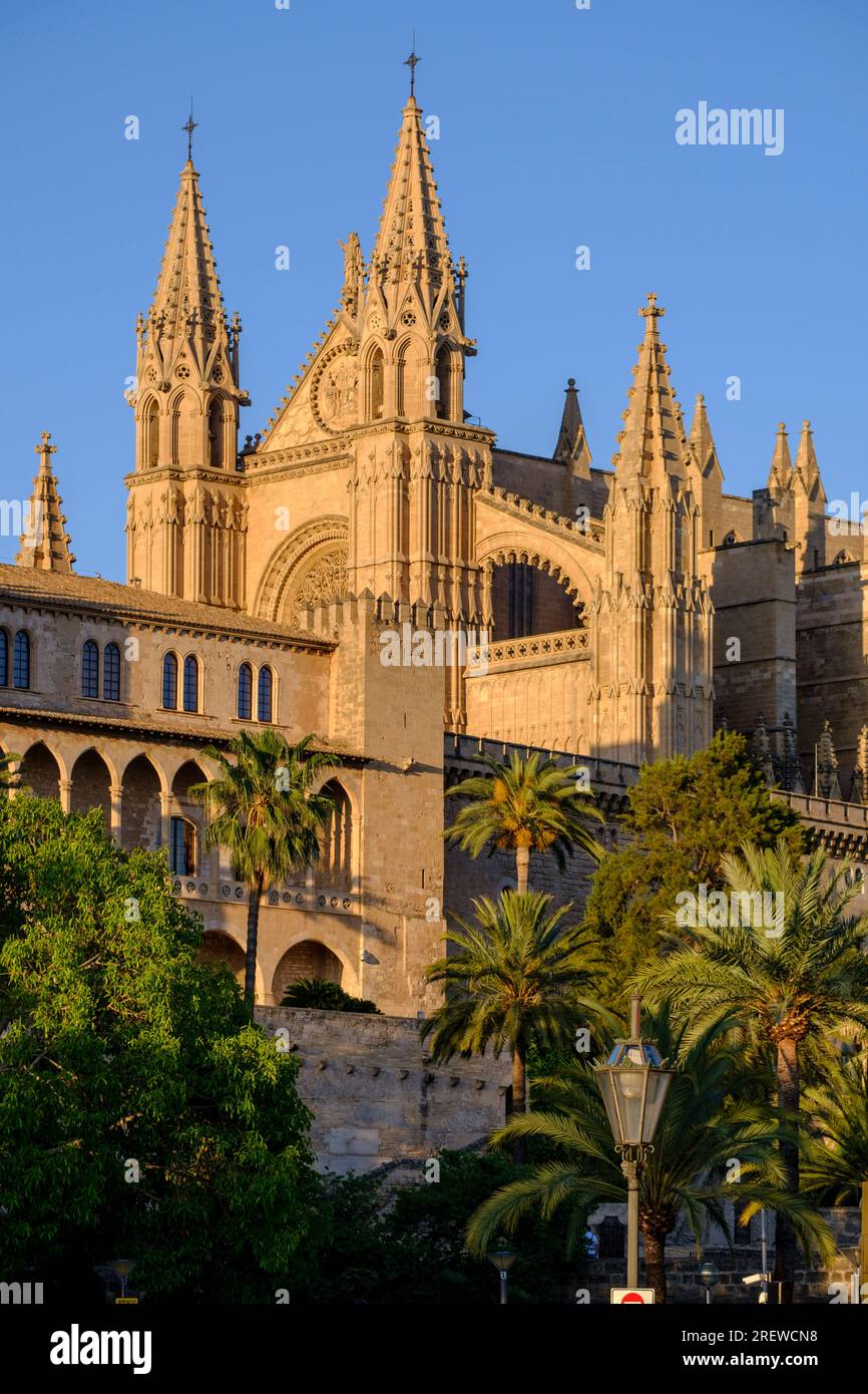 Palais et cathédrale d'Almudaina, Palma, Majorque, Iles Baléares, Espagne Banque D'Images