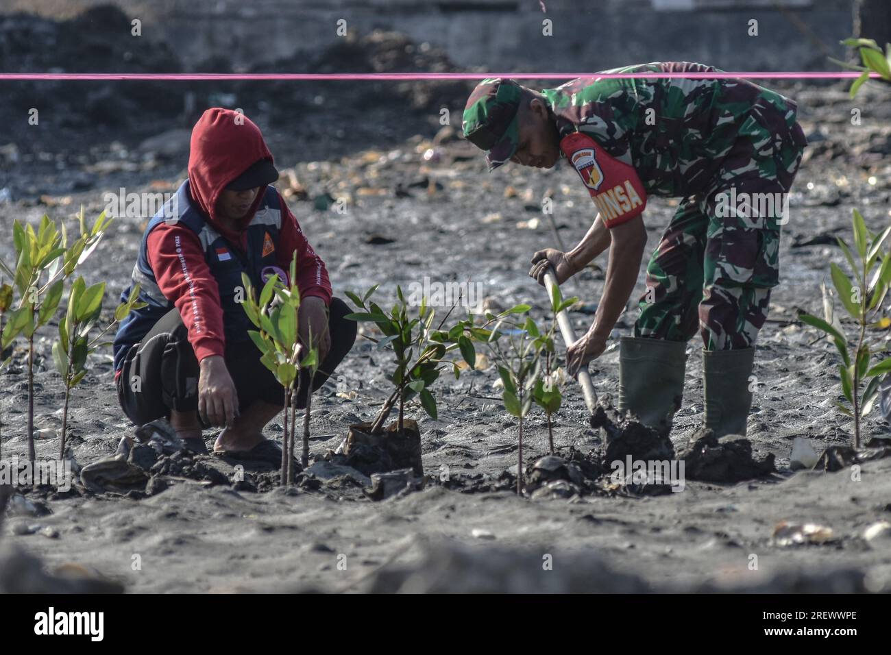 30 juillet 2023, Donggala, Sulawesi central, Indonésie : les habitants ont planté des milliers de mangroves sur la côte du village de Tompe, district de Sirenja, régence de Donggala, Sulawesi central. La plantation de mangroves a été lancée pour réduire les inondations de marée qui ont submergé les maisons des gens dans la région au cours des cinq dernières années (image de crédit : © Adi Pranata/ZUMA Press Wire) À USAGE ÉDITORIAL SEULEMENT! Non destiné à UN USAGE commercial ! Banque D'Images